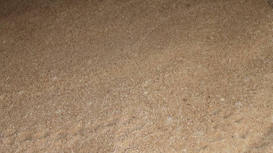 Fertilizer Market: The Certainty of Uncertainty Swings Back to Certainty