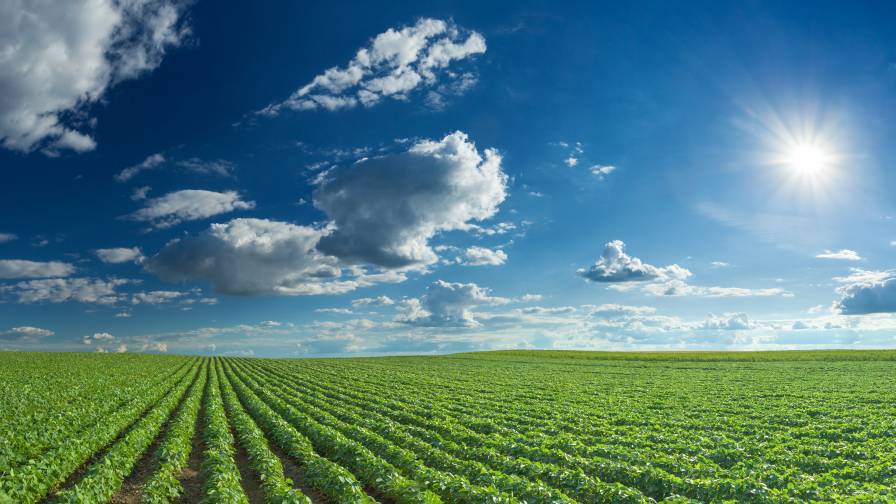 BASF Showcases Commitment to Innovation in Agriculture in 2023