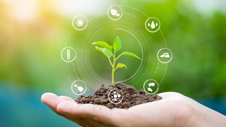 Syngenta Joins the Phytobiomes Alliance