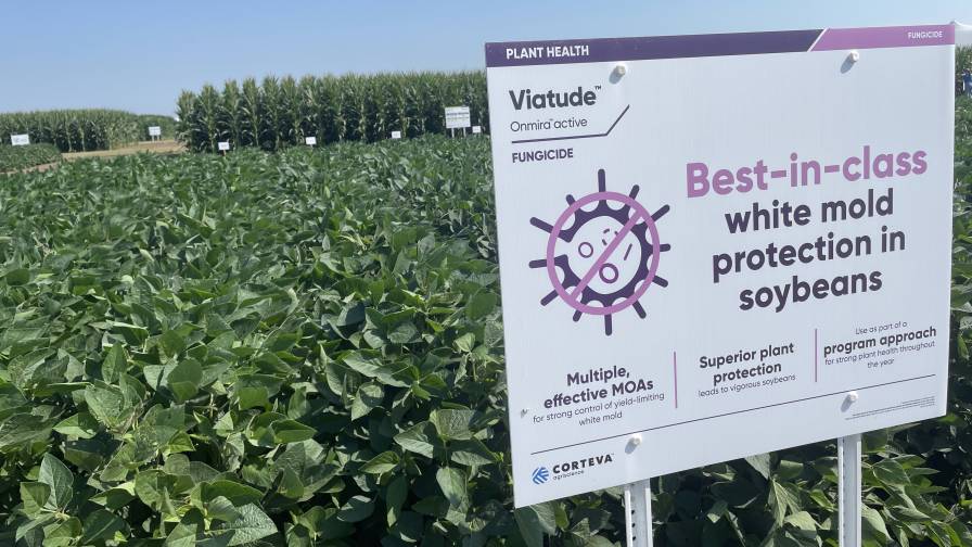 Fungicide Applications a Matter of When, Not If