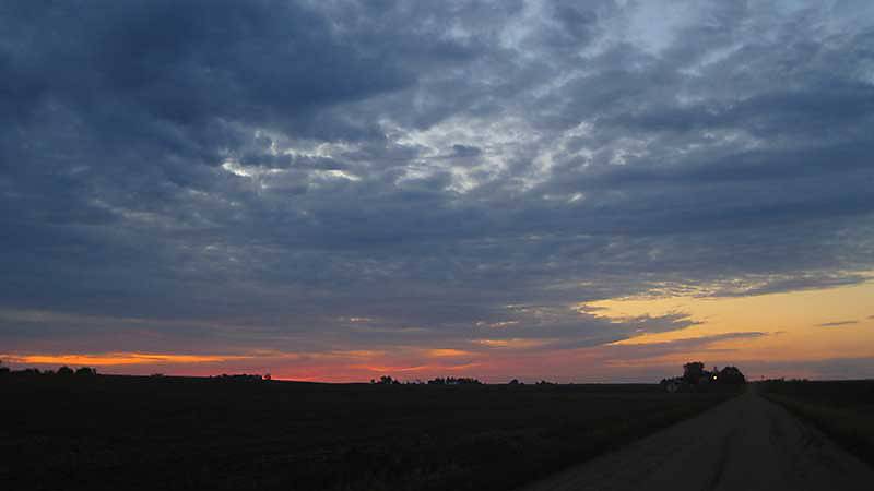 Fueling the Future of Farming: Global Agrochemicals Market Poised for Steady Growth