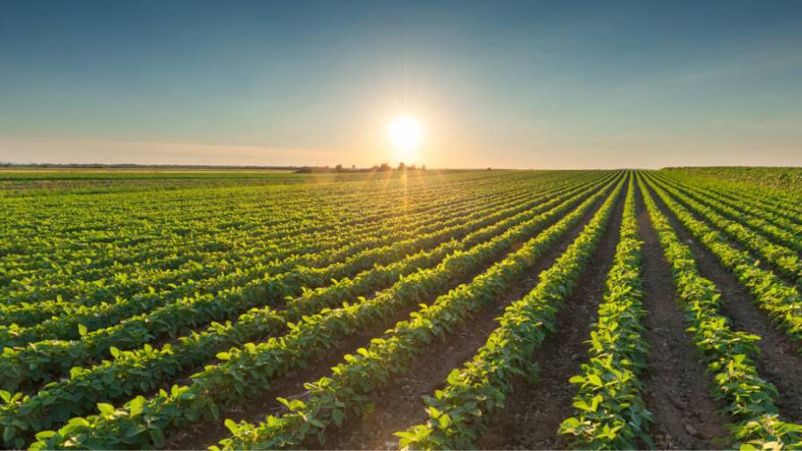 Industry Leaders Meristem, Pivot Bio, and Syngenta To Sponsor Farmer-Centric Row Crop Biologicals Study