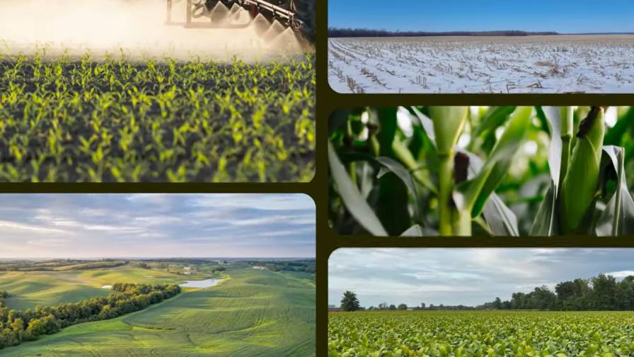 Farmers Get Real About Experience with Biologicals in New Mosaic Biosciences Initiative