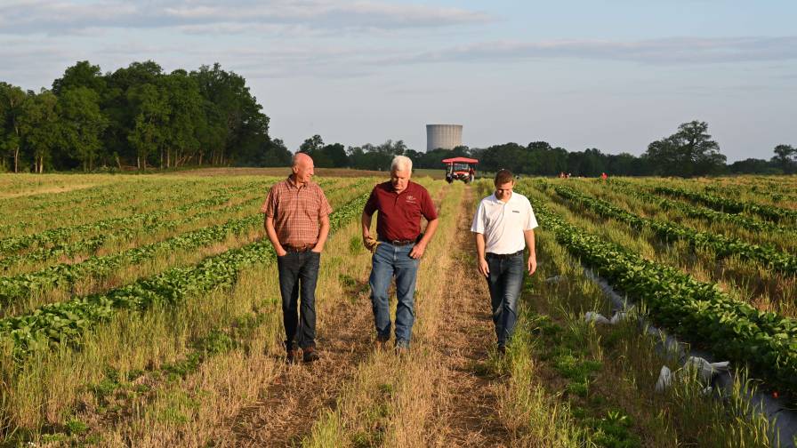 How the 4Rs of Nutrient Stewardship Are Paving the Road to Sustainability