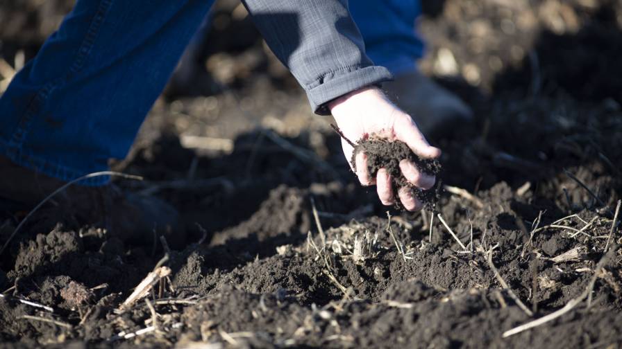 How The Mosaic Co. Evolved: From Crop Nutrition Powerhouse to Biologicals Innovator