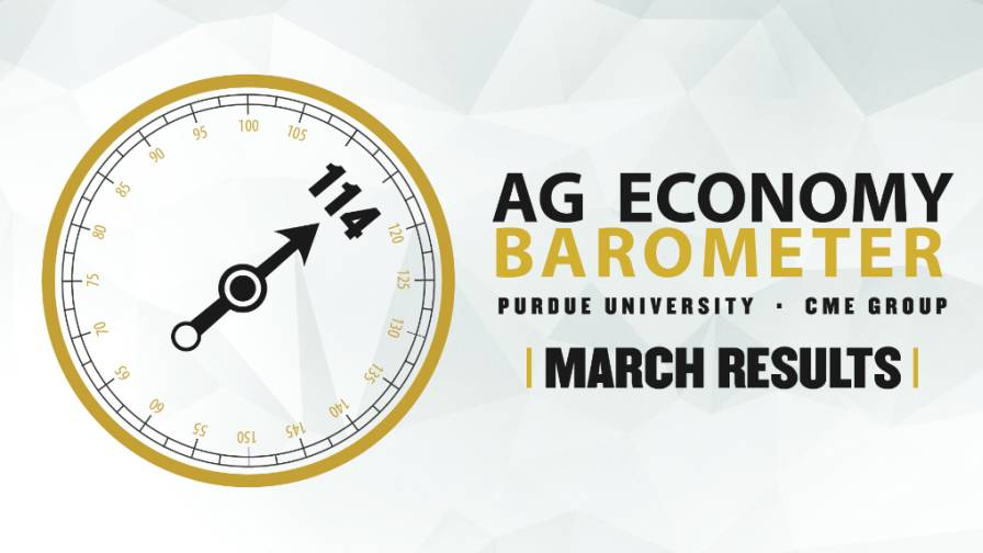 Farmer Sentiment Improves As Interest Rate Expectations Shift