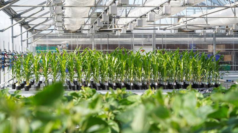 Ginkgo Bioworks Acquires AgBiome’s Platform Assets