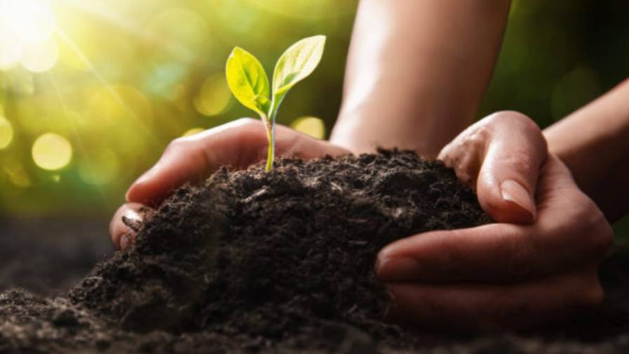 SBM Life Science and Harpe Bioherbicide Solutions Partner to Bring Next-Generation Natural Weed Control to the Home & Garden Consumers