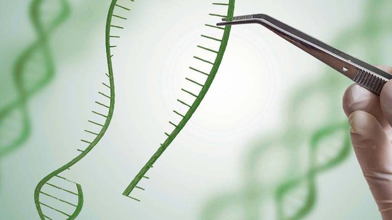 Syngenta Opens Rights to Genome-Editing and Breeding Technologies to Boost Agricultural Innovation