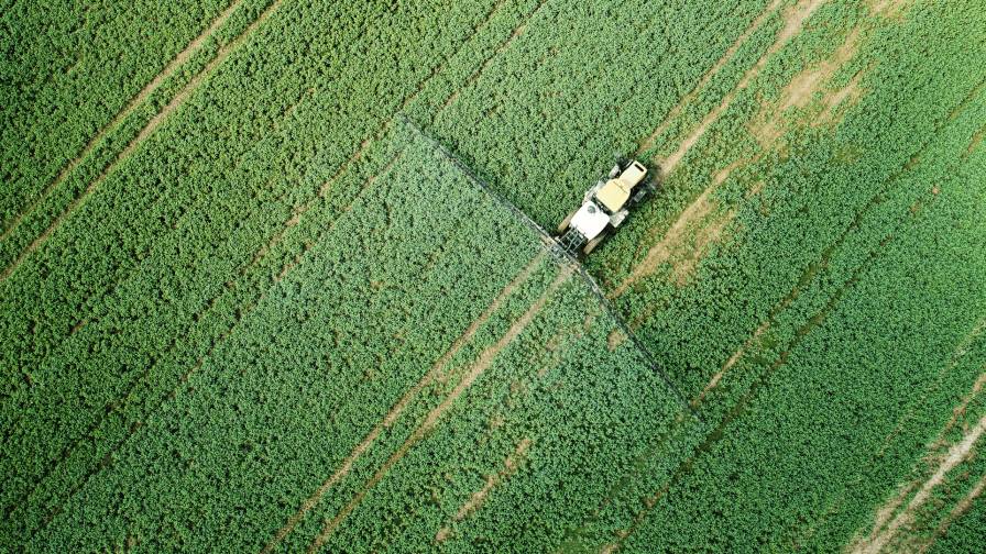 Biome Makers Launches New Agronomic Insights Tool BeCrop Farm