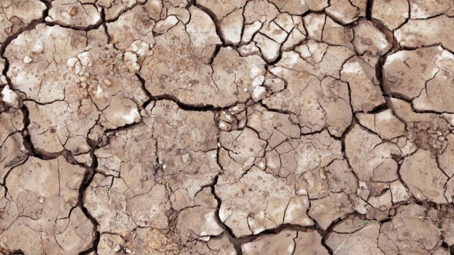 5 Essential Steps to Preventing Soil Erosion in Agriculture
