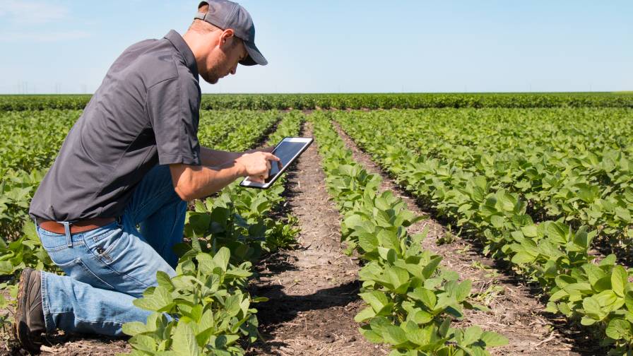 BASF Launches New Spray Timer Tool for Fungicide Management