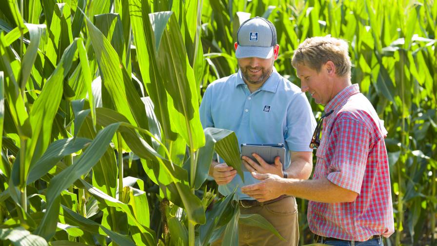 The Biologicals Boom: What’s Driving the Market for Biostimulants, Biopesticides and Biofertilizer?