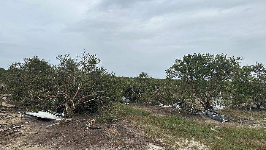 How Farmers Are Coping After Big Hurricane Hits