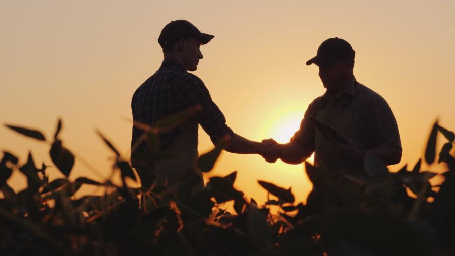 BASF Adjusts Its Grower Financing Program to Support Farm Liquidity