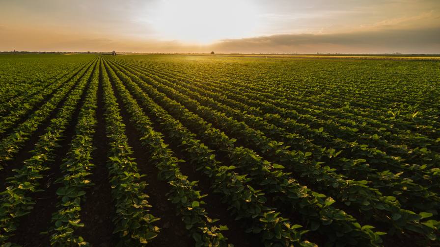 DunhamTrimmer’s Biologicals Outlook 2025: U.S.