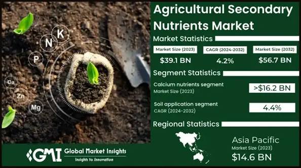 Agricultural Secondary Nutrients Market to Hit $56 Billion by 2032: Trends and Growth Insights
