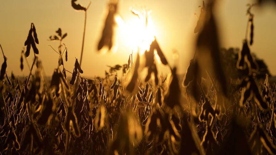 Canadian-Based Bushel Plus Ltd. Expands Global Footprint into the U.S.