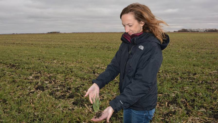 Women in Agriculture: Nancy Bohl Bormann Remains Focused on Ag Tech Research