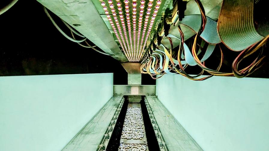 BioLumic Launches World’s First Commercial Light-Activated Seed Traits