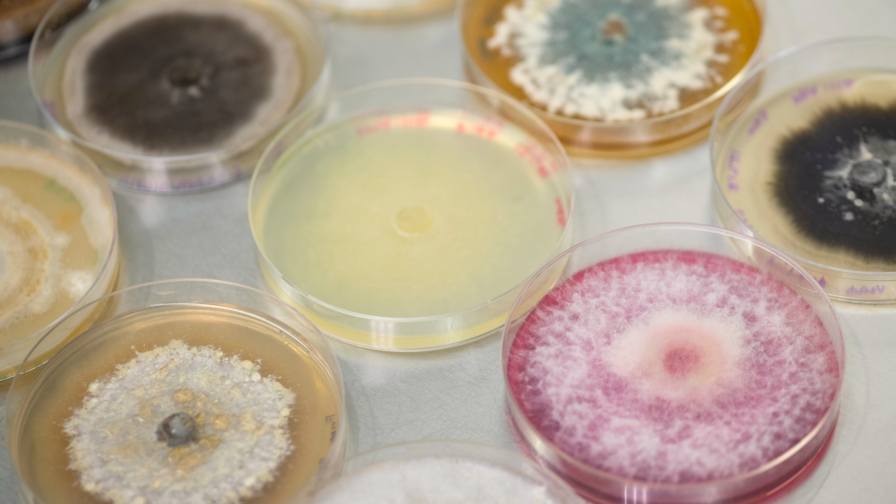 Jord BioScience Secures Series B Funding to Accelerate Microbial Solutions for Agriculture