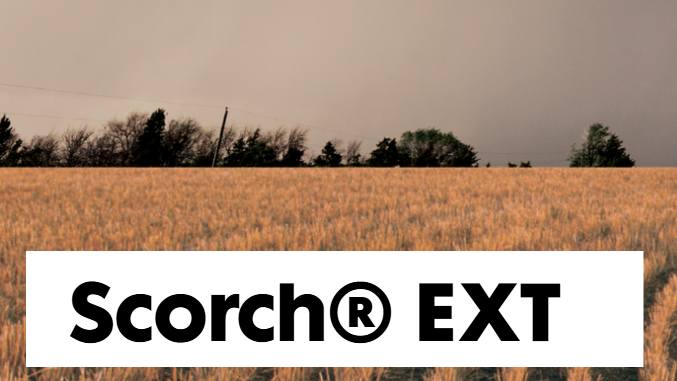 Nufarm’s Scorch EXT Receives 24(c) Registration in Colorado for Control of Kochia in Fallow