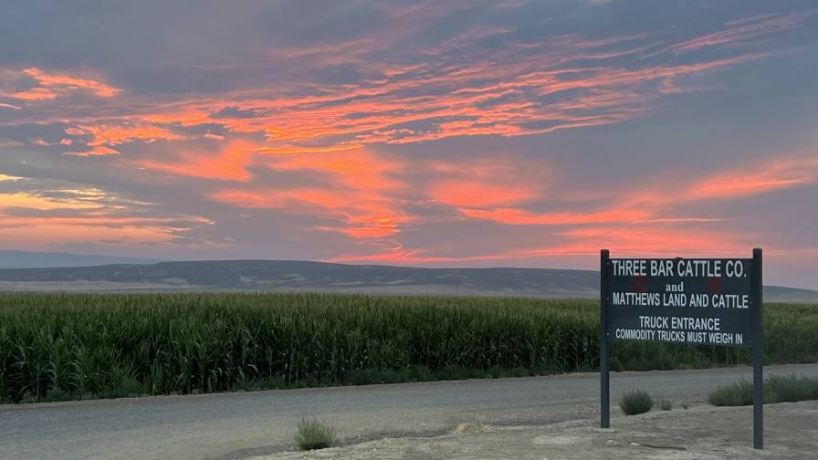 Enjoying an Idaho sunset at Matthews Land & Cattle LLC.