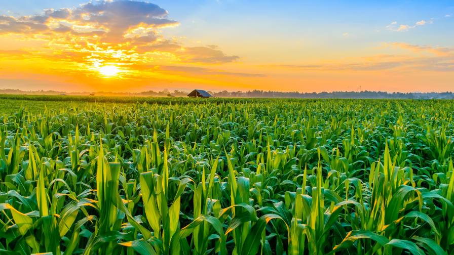Gowan Forms Strategic Collaboration With Moa Technology to Advance Next-Generation Crop Protection