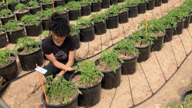 Biome Makers and Anglo American Research Demonstrates POLY4’s Unique Positive Effect on Soil Health