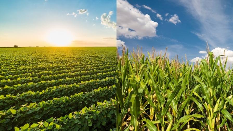 Helena Introduces New Herbicides at 2026 Commodity Classic