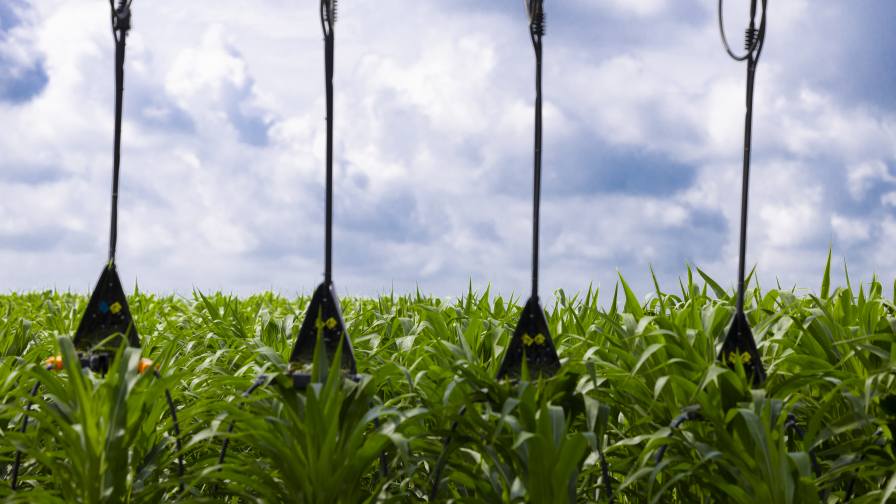 Sharpening In-Season Nitrogen Strategies for 2025