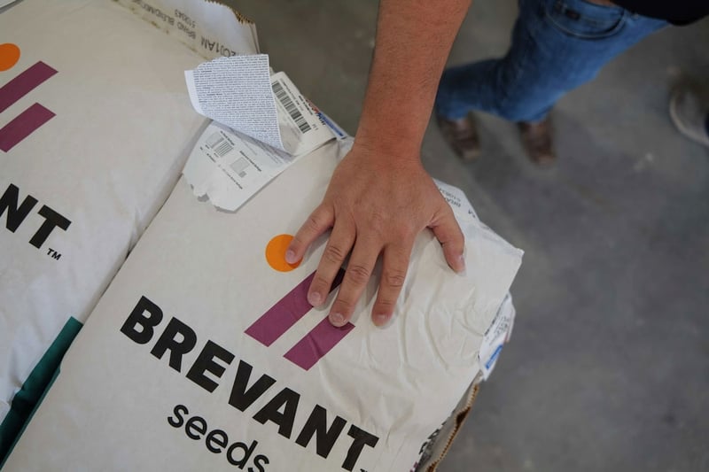 Top 8 Seed Decisions Ag Retailers Must Make This Fall