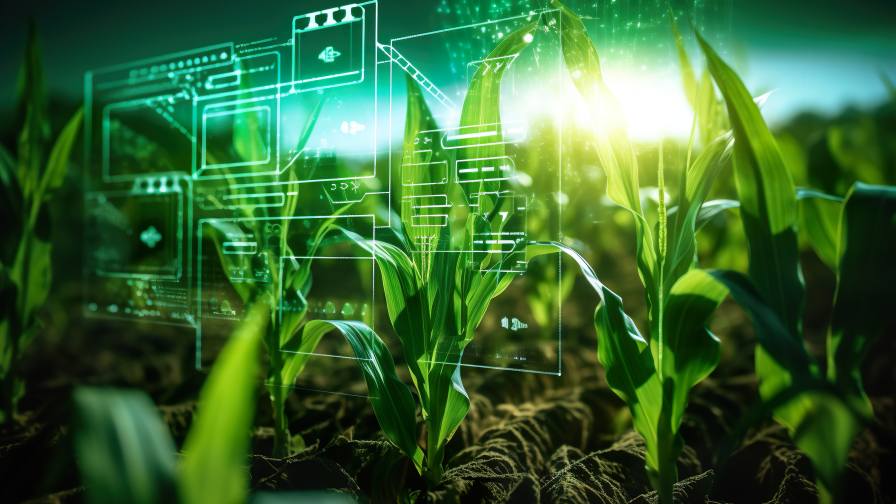 Smart tech on screen with young crop.