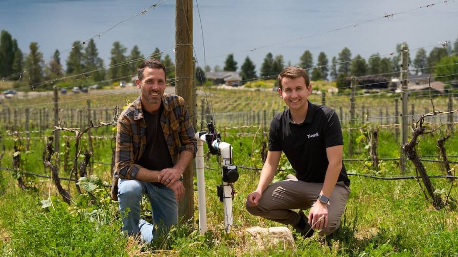 Tech in the Trenches: How AI and Automation Are Freeing Ag Teams to Focus on Strategy
