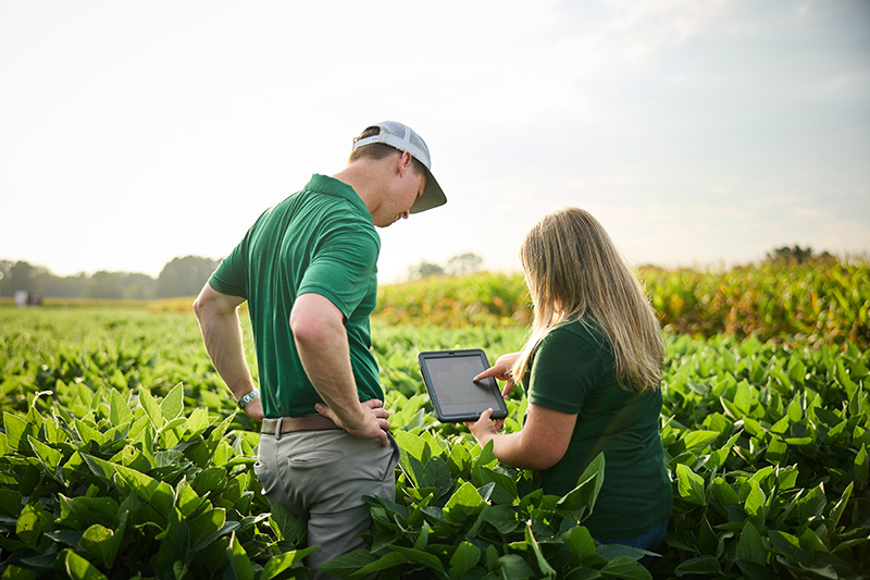 Peace of Mind Has ROI: Why It Pays to Show Up When Fields Look Good