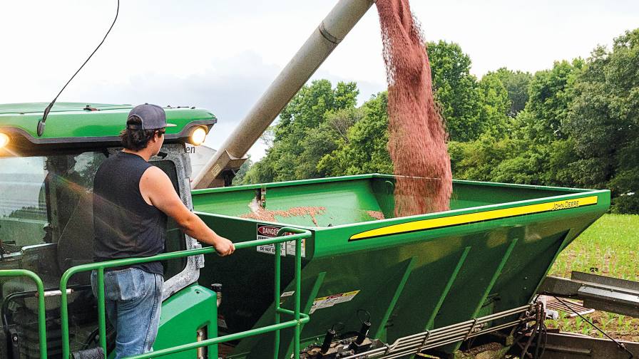 Developing Smarter Crop Nutrition