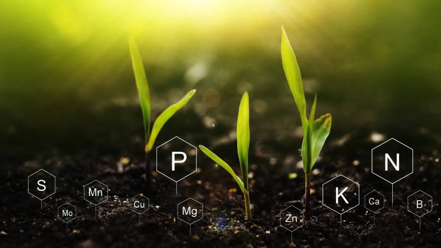Micronutrients Take Center Stage: Tech, AI, and ROI Drive Market Shift in 2025