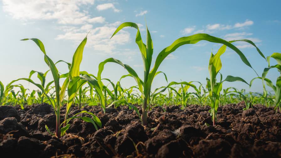 Global Biostimulant Market Reaches USD 4.47 Billion As Industry Signals Maturity