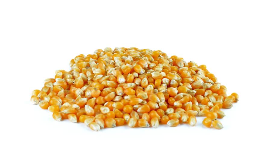 Triumphs and Tribulations: The 21st Century Story for Crop Protection and Seed