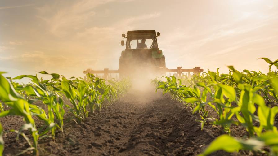 A Supreme Day, But More Challenges Ahead: Glyphosate Ruling Marks Win, Not the End
