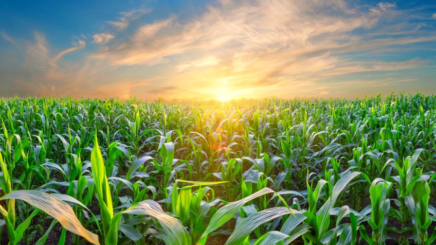 Summit Agro USA Unveils BioPowered Portfolio