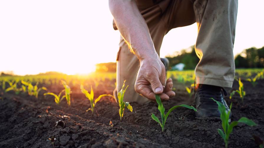 HGS BioScience Acquires NutriAg Ltd.