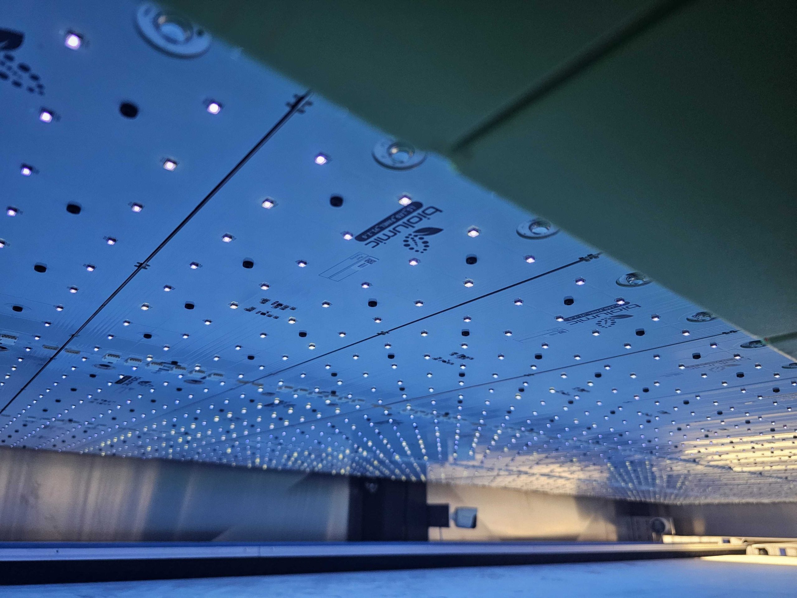 BioLumic Named to Fast Company’s Next Big Things in Tech for 2025