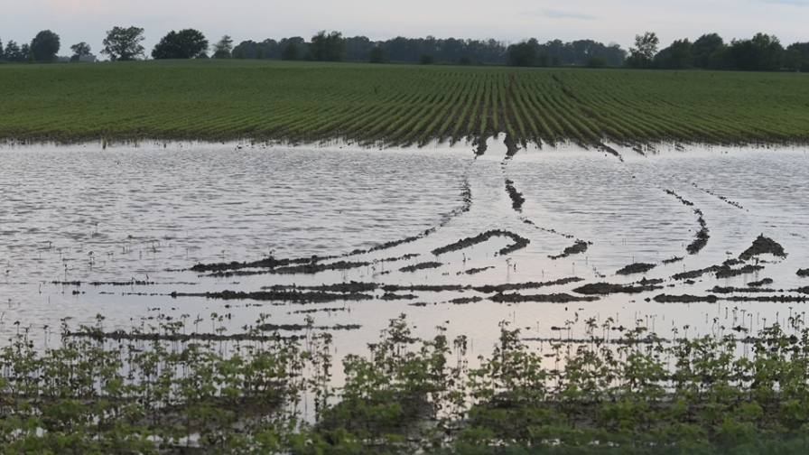 United Soybean Board and Purdue University Partner to Deliver Farmers a New Ag Climate Dashboard