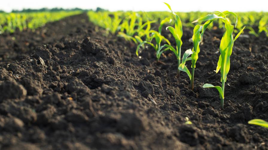 Nichino America Celebrates 25 Years of Innovation and Partnership in North American Agriculture