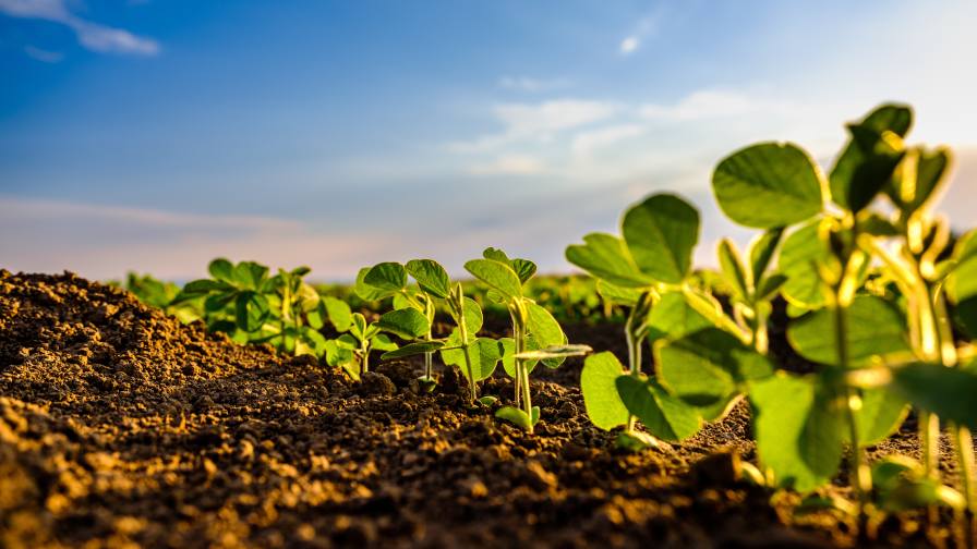 Why Ag Retailers Play a Key Role in Adjuvant Education