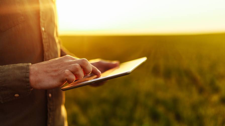 Grower with a tablet in a field at sunset.
