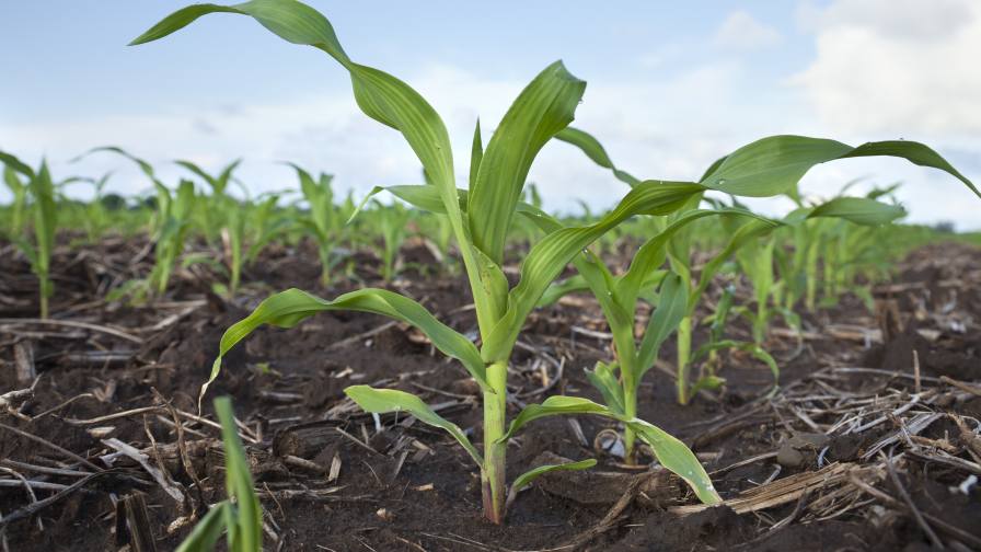 Ostara Advances CG P2X with New, Higher-Analysis Formula Delivering More than 2X the Plant-Available Nutrients