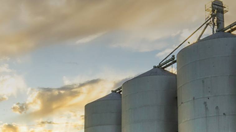 How Connected Technology Is Protecting Grain Quality From Bin to Market