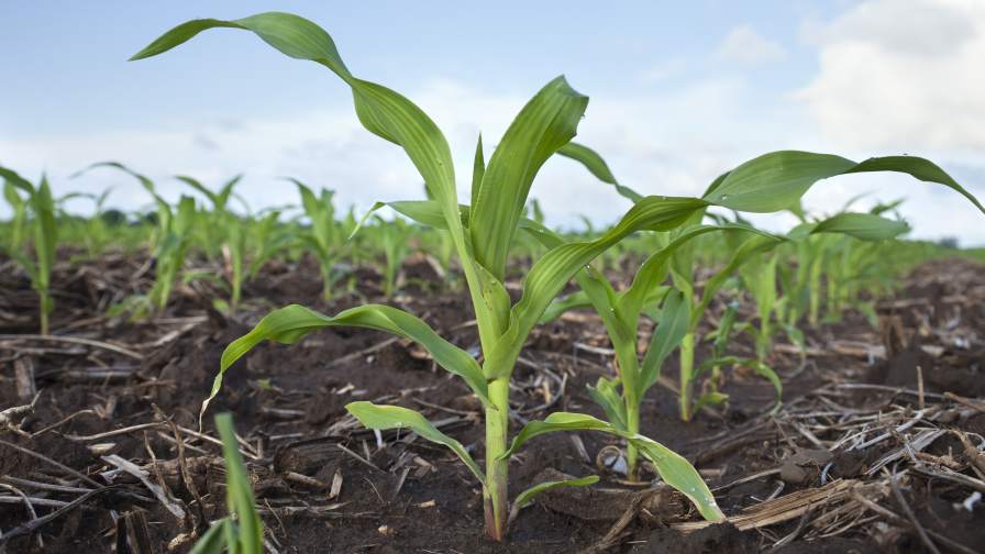 Farmers Want Answers: What’s Driving Fertilizer Prices?